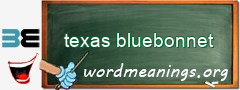 WordMeaning blackboard for texas bluebonnet